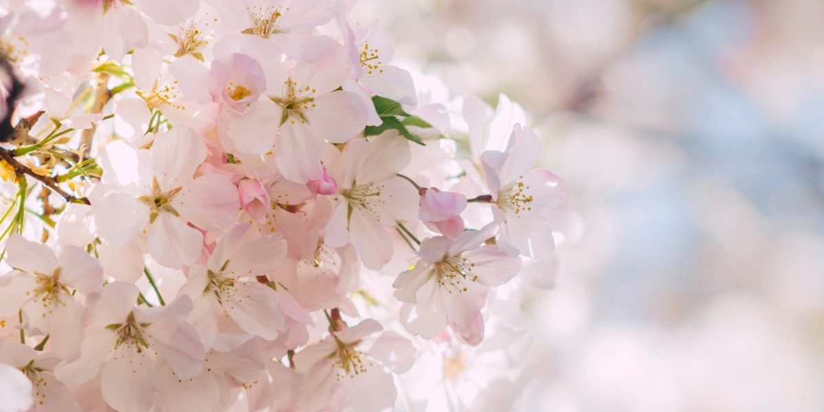 Managing Seasonal Allergies Day to Day