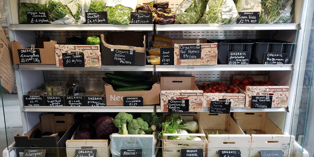A Gentle Shift Toward Plant-Forward Eating